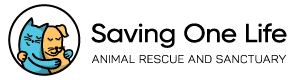 Saving One Life